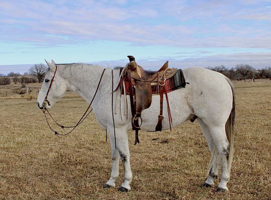 TRES RUDE BARTENDERS